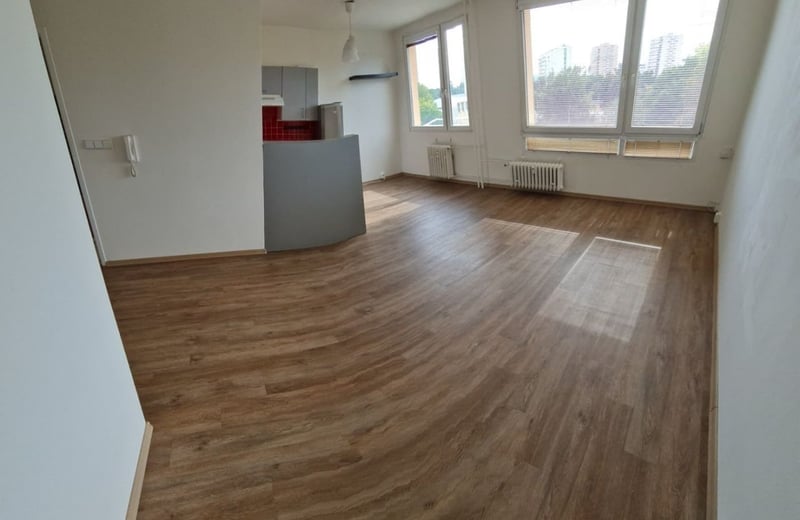 Spacious, bright apartment for rent, 66 m², Braník, Prague, Czech Republic