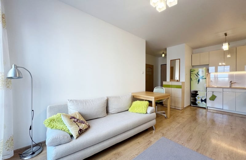 Bright, furnished apartment for rent, 42 m², Bielany, Warsaw, Poland