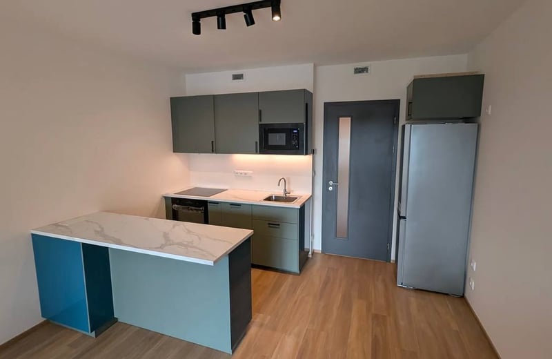 Аренда современной и просторной студии с лоджией, 47 м², Глоубетин, Прага 9, Чехия