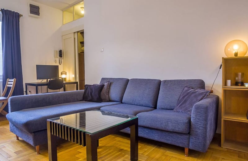 Cozy 1-bedroom apartment for rent, 35 m², city center, Belgrade, Serbia