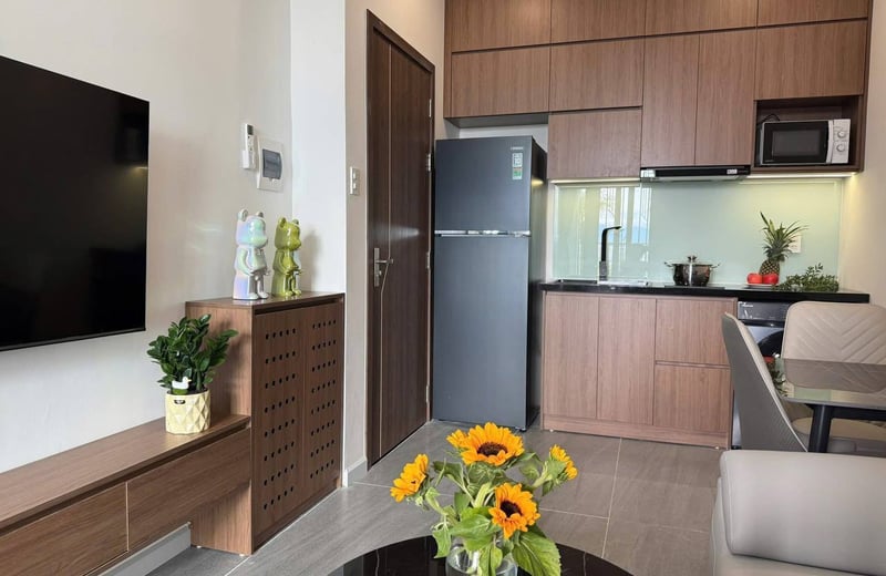 Modern, furnished apartment for rent, Da Nang, Vietnam