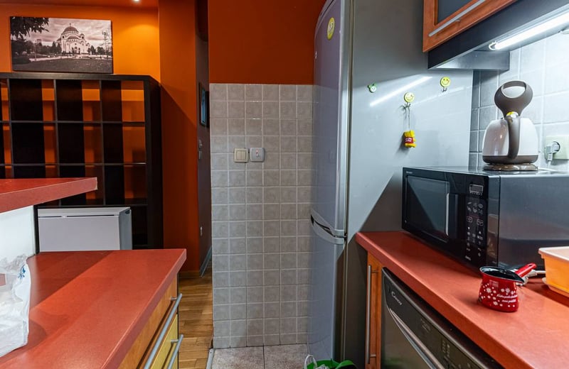 Comfortable, furnished apartment for rent, 51 m², Vracar, Belgrade, Serbia