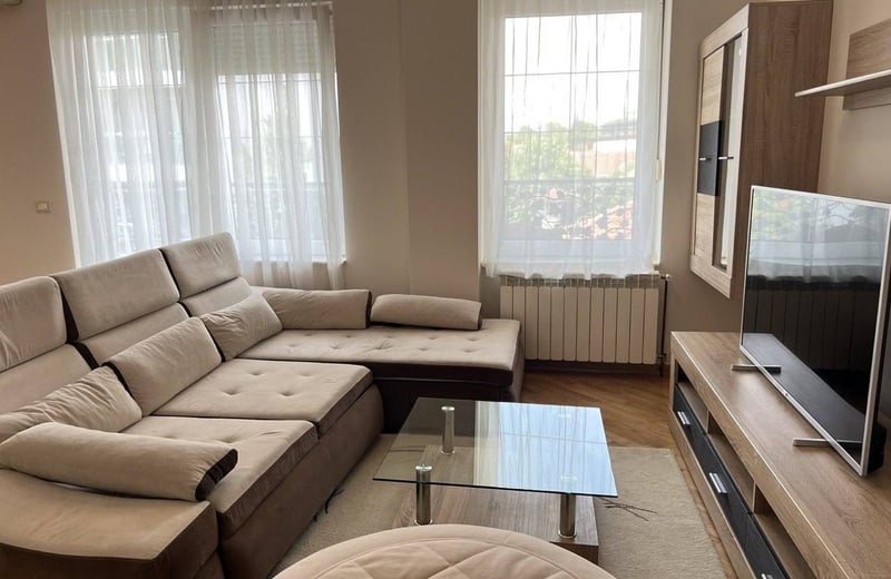 Bright, spacious apartment for rent, 100 m², Vracar, Belgrade, Serbia