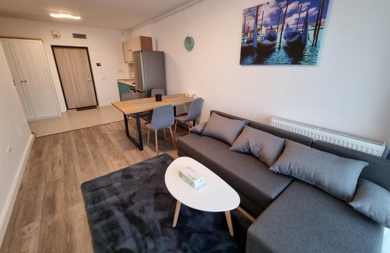 Cozy, furnished apartment for rent, 51 m², Constanta, Romania