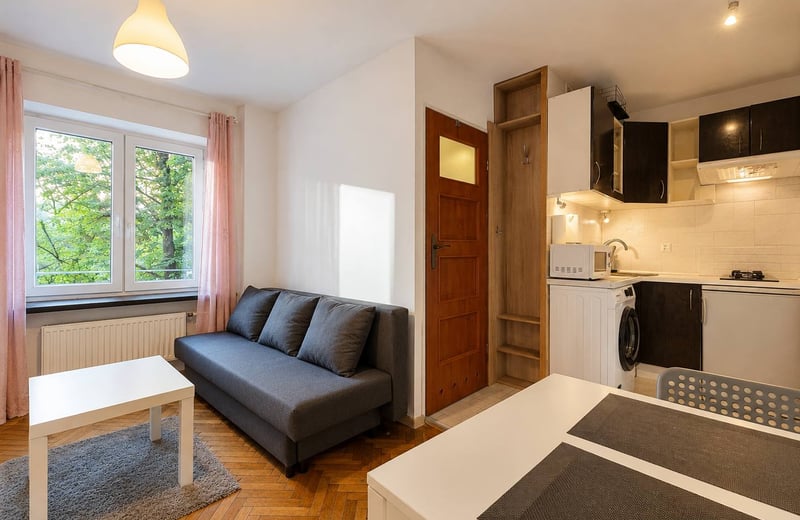 Cozy and spacious studio apartment for rent, Śródmieście, Warsaw