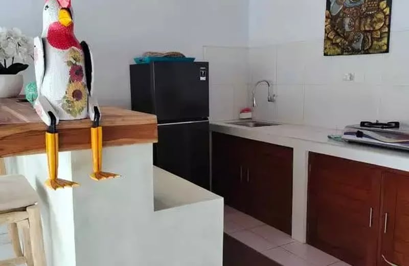Alquiler a largo plazo de una villa de 1 dormitorio con piscina en Seminyak, Bali, Indonesia