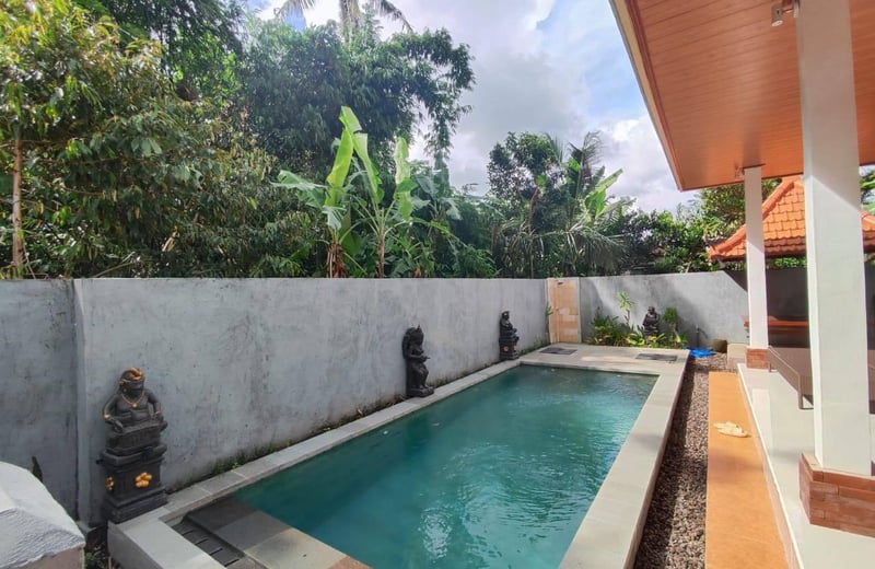 New villa with pool for rent Ubud (Sayan area), Bali