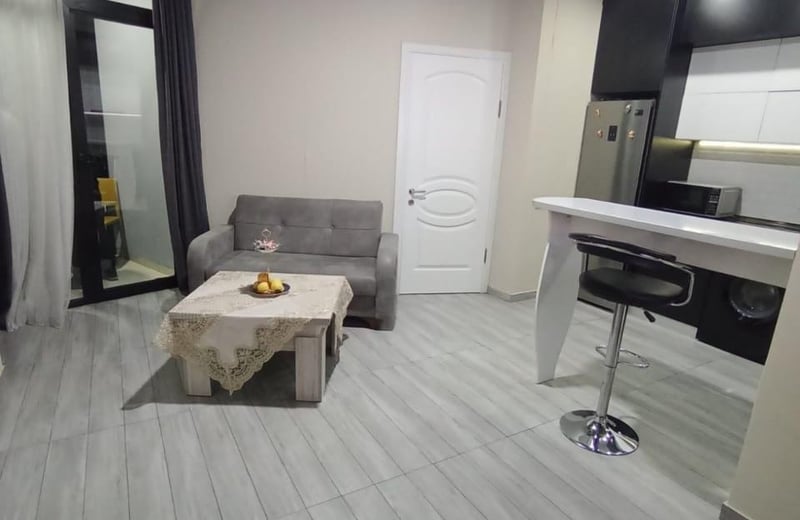 Rent a 45 m² apartment with a view in Batumi