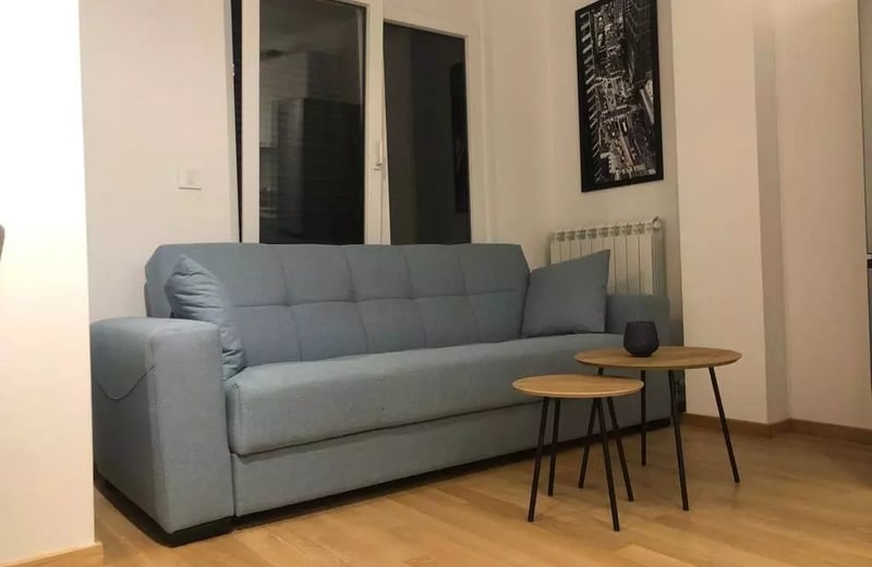 Long-term rental of a newly renovated 2-bedroom apartment in Vračar, Belgrade