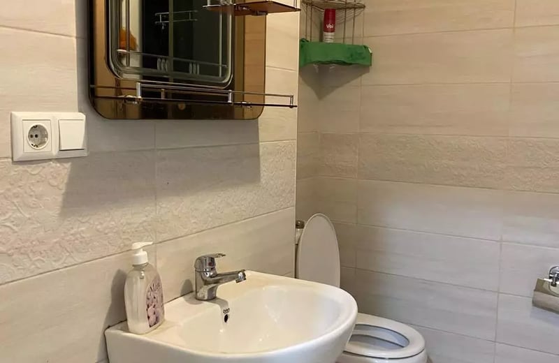 Alquiler a Largo Plazo: Apartamento 1+1, Calle Kobaladze 8a, Batumi