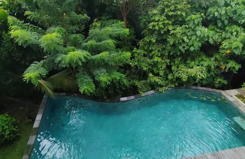 Long-term rental of a new villa with jungle view in Ubud, Bali, Kecamatan area
