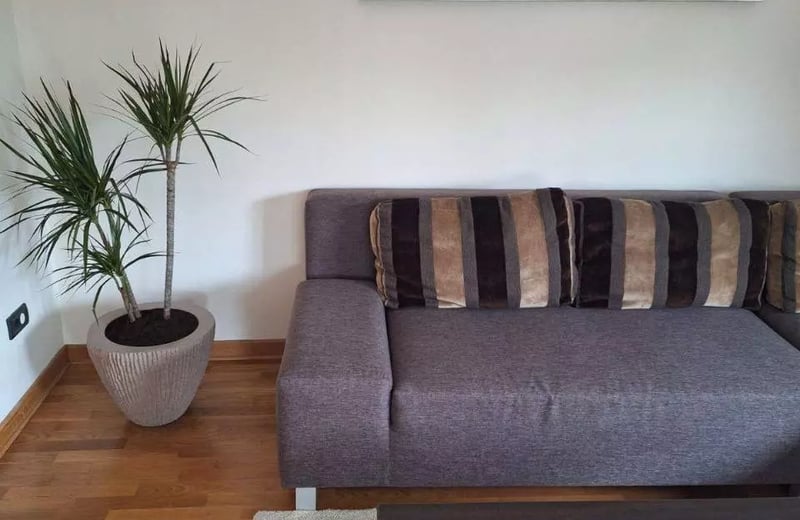 Long-term rental in Belgrade — spacious 2-room 58 m² apartment with appliances and AC in Zemun near a park