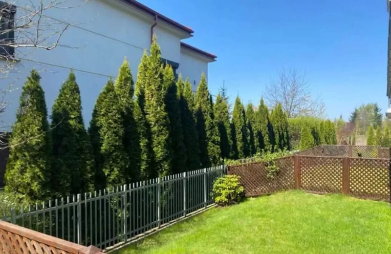 Long-term rental of a modern 50 m² 2-room apartment with a terrace in Zawady, Wilanów, Warsaw