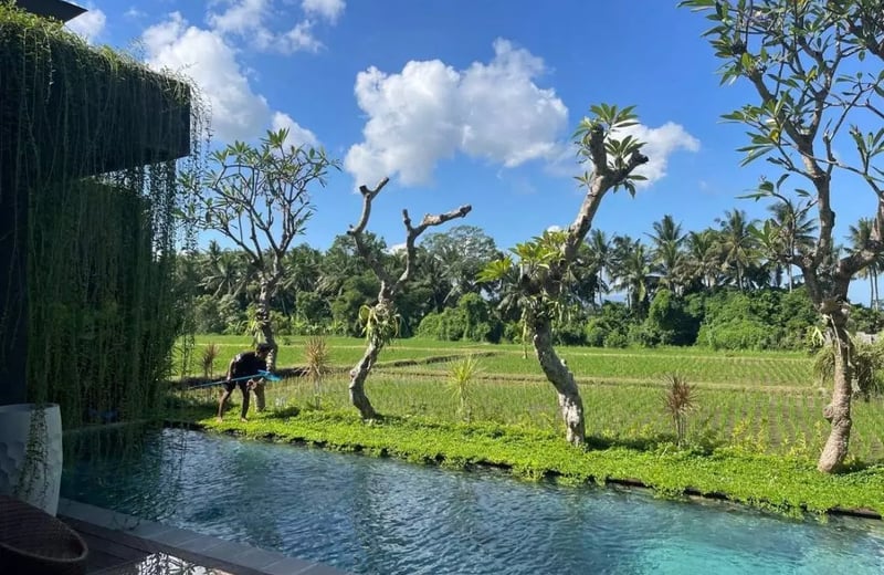 Long-term rental of a brand-new villa with rice field view in Batuan area, Ubud