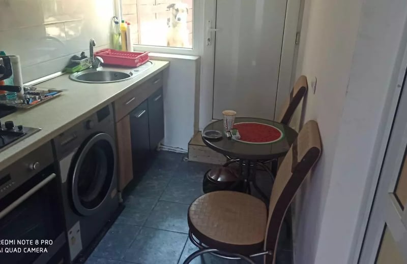 Long-term rental of 4-room house 77 m² — Palazu Mare, Constanța, Romania