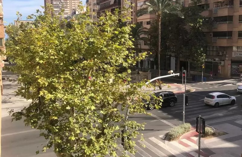 Alquiler a largo plazo: departamento de 2 dormitorios 93 m² en Alicante, España